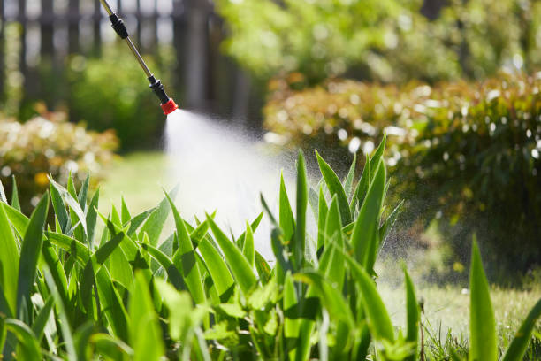 24/7 Emergency Wasp Removal experts in Spring Ridge, MD