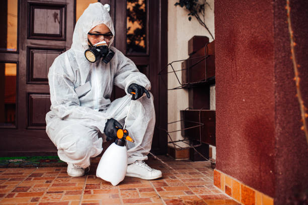 Reliable Wasp Removal contractor in Spring Ridge, MD by Show Me Pest Control