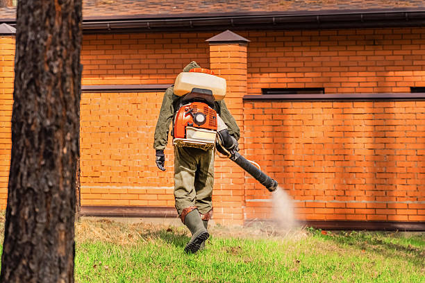 Top rated local Wasp Removal specialists in Spring Ridge, MD